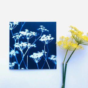 Botanical Cyanotype Art Greeting Cards