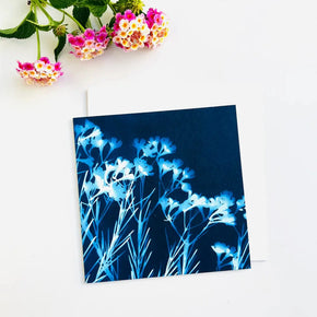 Botanical Cyanotype Art Greeting Cards