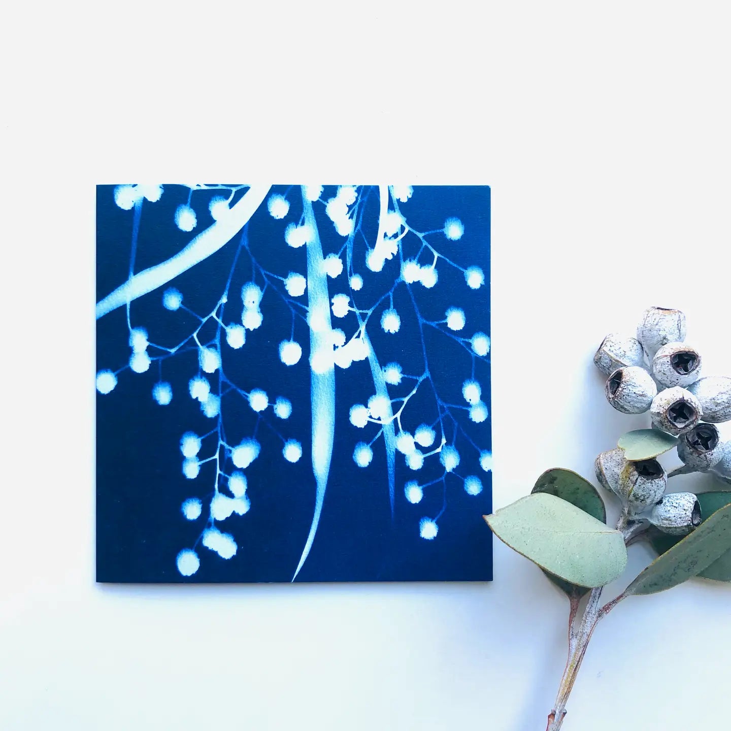 Botanical Cyanotype Art Greeting Cards