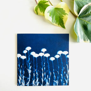 Botanical Cyanotype Art Greeting Cards