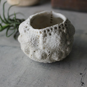 Ceramic Sea Urchin Air Plant Pots