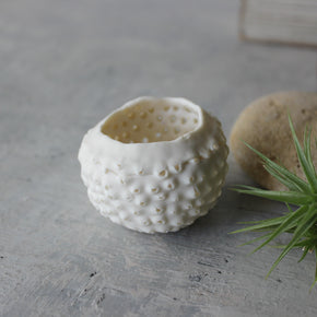 Ceramic Sea Urchin Air Plant Pots