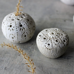 Sea Urchin Incense Holder / Specimen Keepers