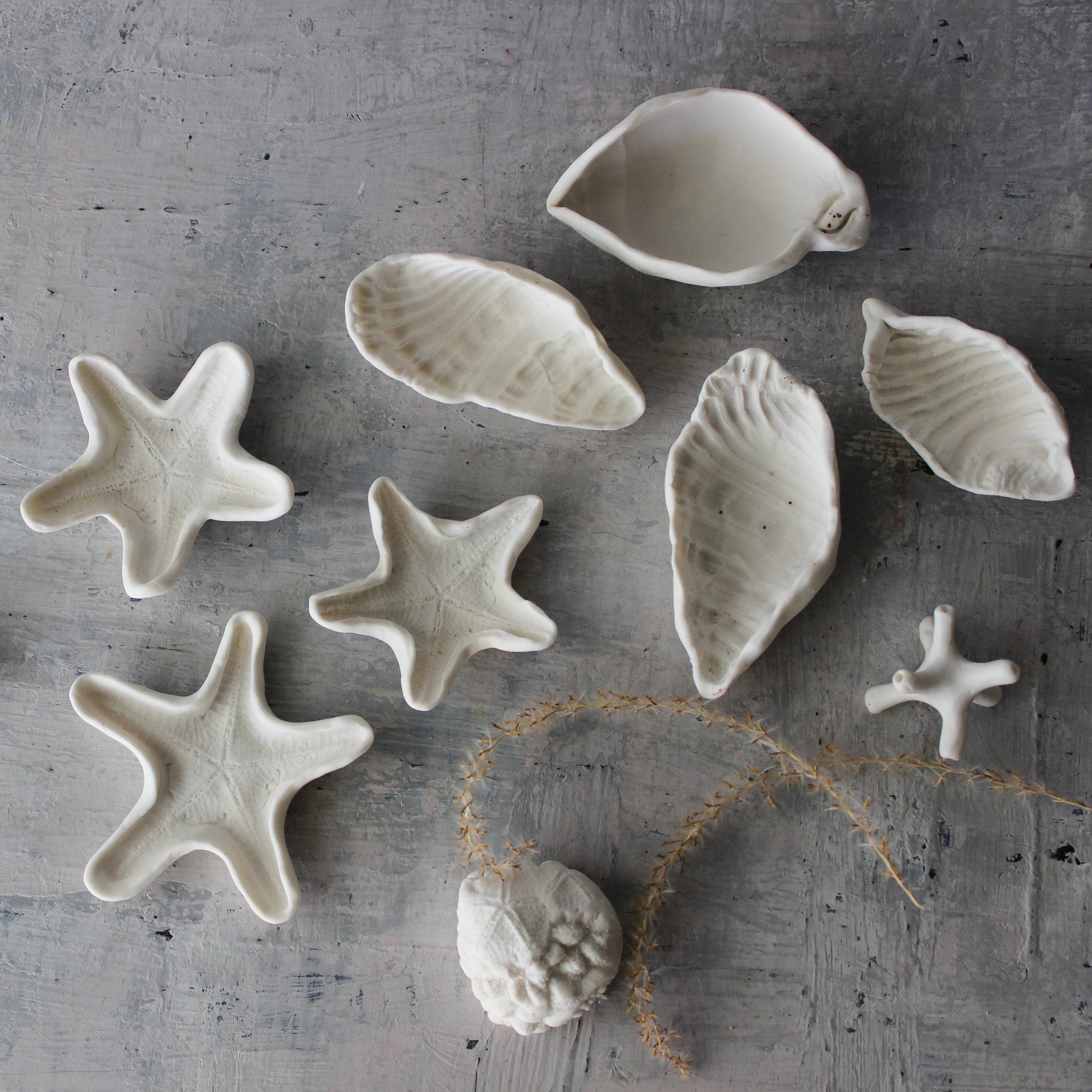 Ceramic Rockpool Treasures