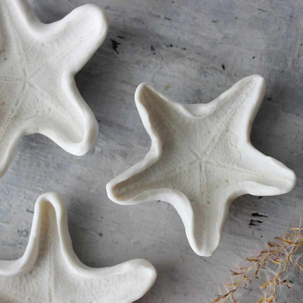 Ceramic Rockpool Treasures