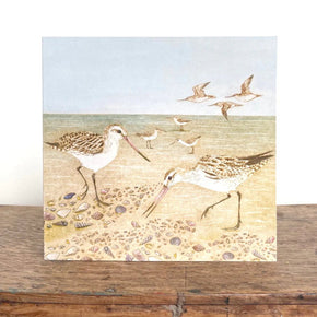 Beach Birds Greeting Cards - Bridget Farmer - Tribe Castlemaine