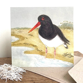 Beach Birds Greeting Cards - Bridget Farmer - Tribe Castlemaine