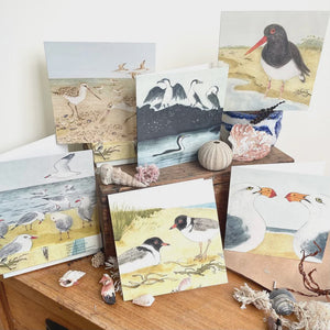 Beach Birds Greeting Cards - Bridget Farmer - Tribe Castlemaine