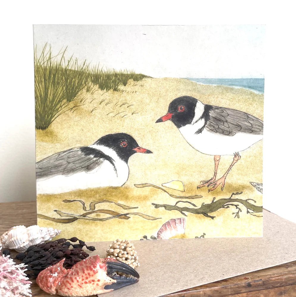 Beach Birds Greeting Cards - Bridget Farmer - Tribe Castlemaine