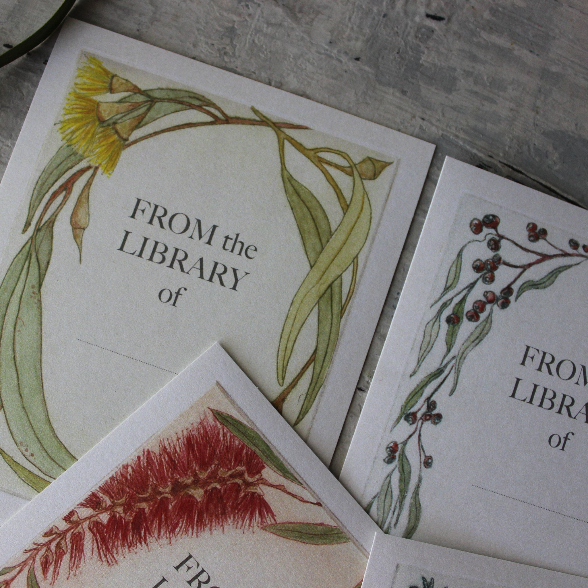 Botanical Bookplates by Bridget Farmer - Tribe Castlemaine