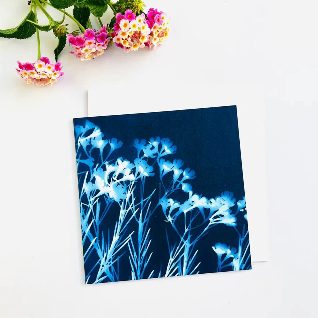 Botanical Cyanotype Art Greeting Cards - Tribe Castlemaine