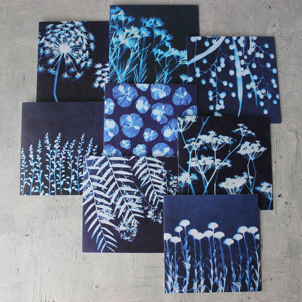 Botanical Cyanotype Art Greeting Cards - Tribe Castlemaine