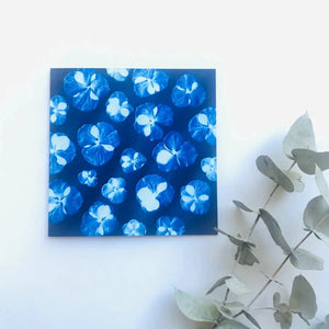 Botanical Cyanotype Art Greeting Cards - Tribe Castlemaine