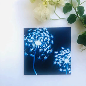 Botanical Cyanotype Art Greeting Cards - Tribe Castlemaine