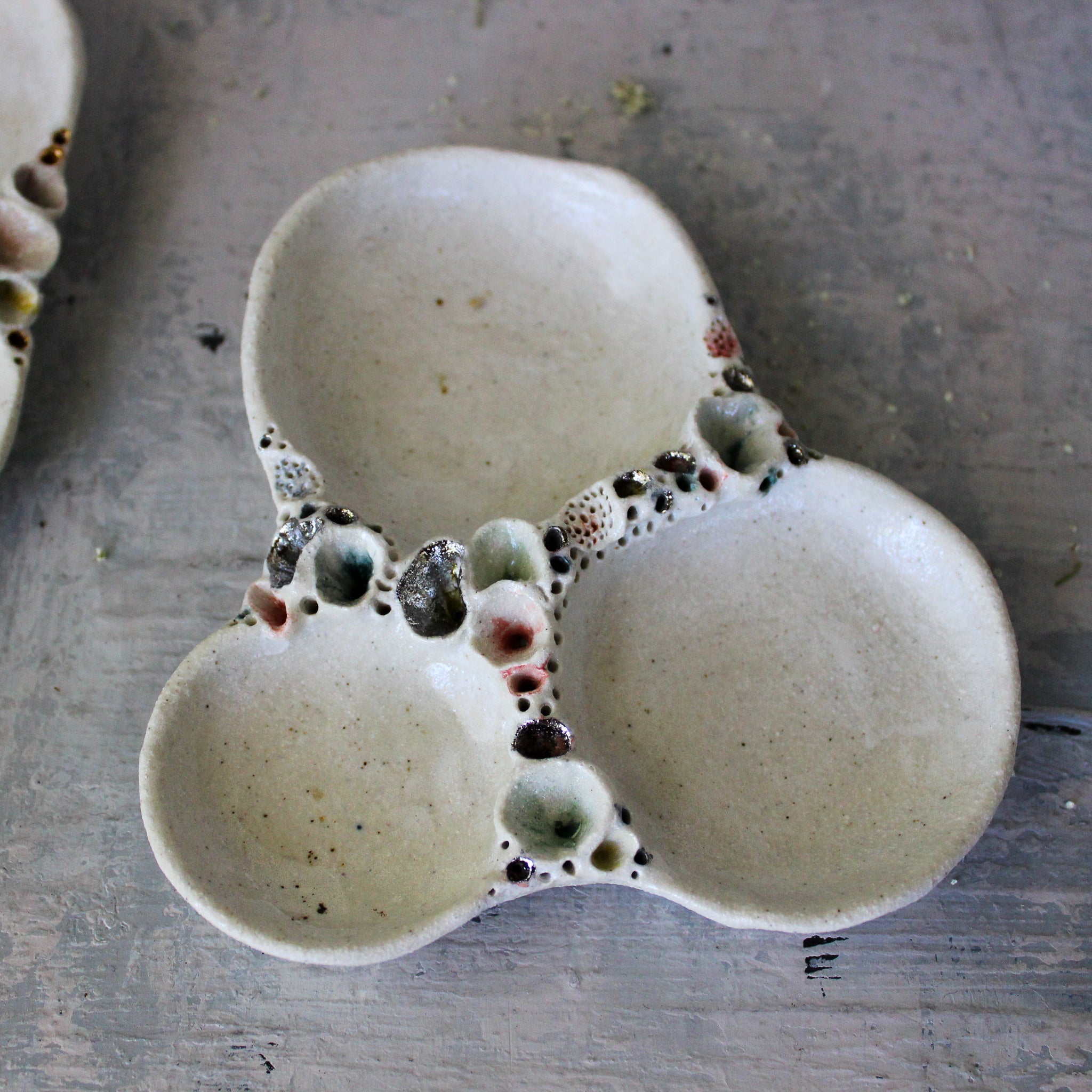 Ceramic Coral Rockpool Trays - Tribe Castlemaine