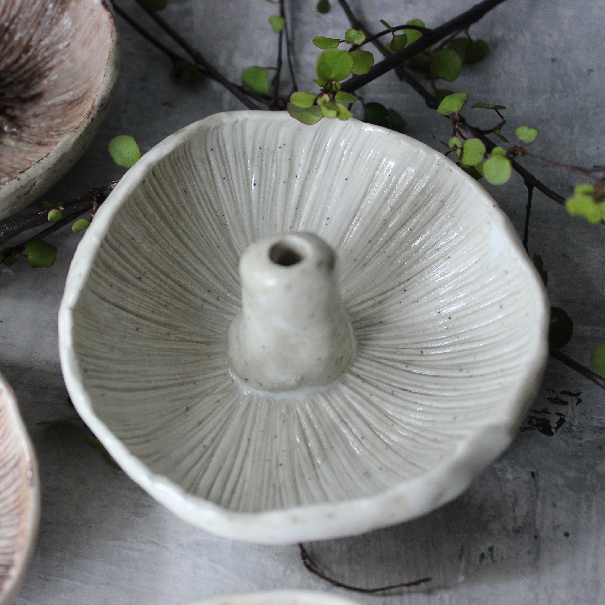 Ceramic Mushroom Specimen Keeper / Incense Holder Dishes - Tribe Castlemaine