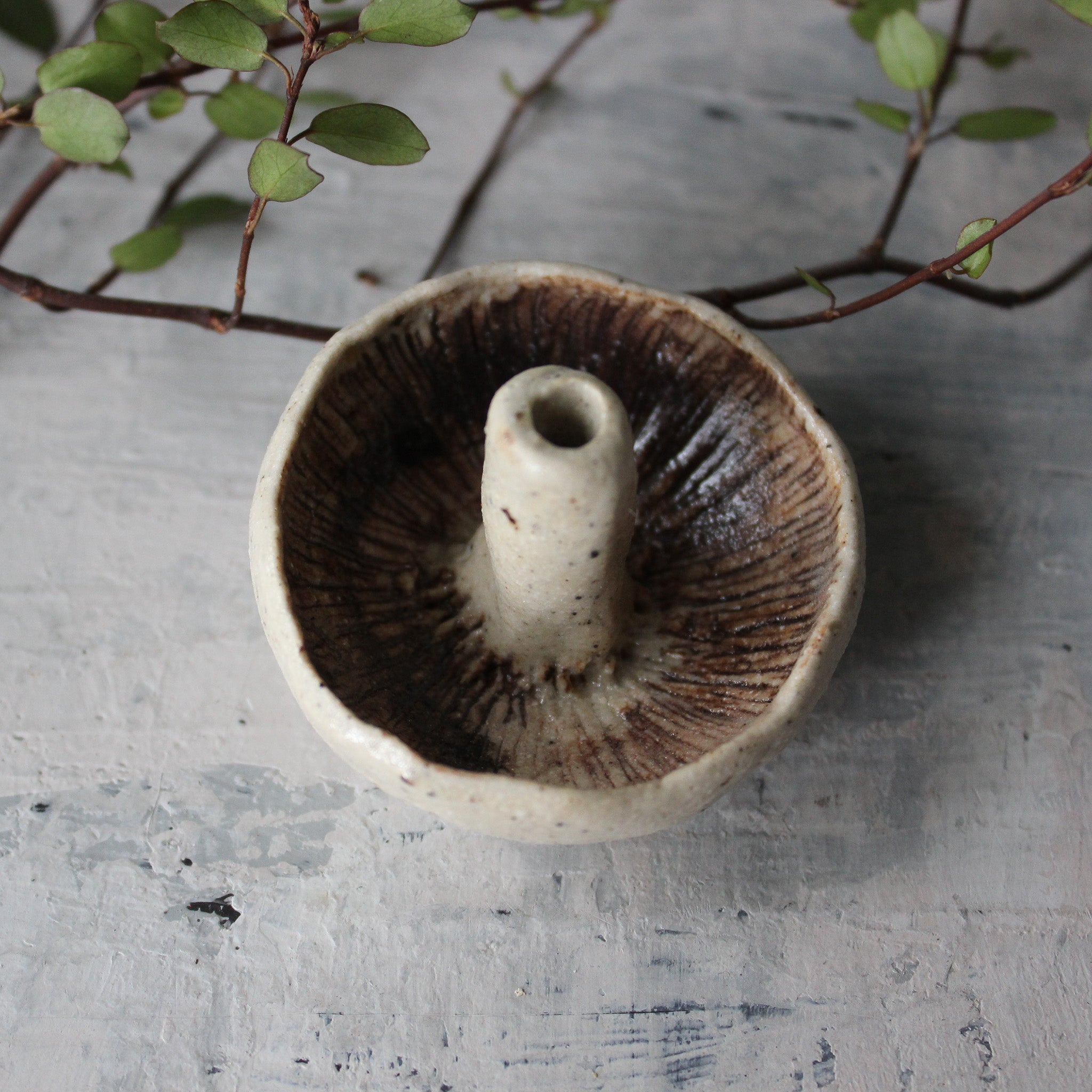 Ceramic Mushroom Specimen Keeper / Incense Holder Dishes - Tribe Castlemaine