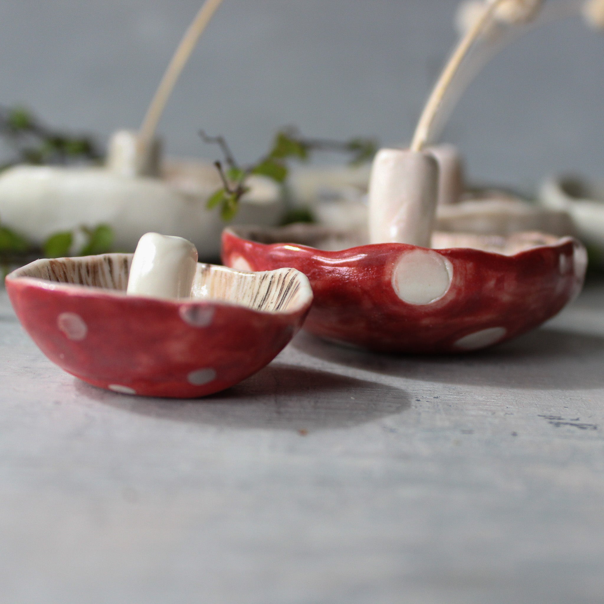 Ceramic Mushroom Specimen Keeper / Incense Holder Dishes - Tribe Castlemaine