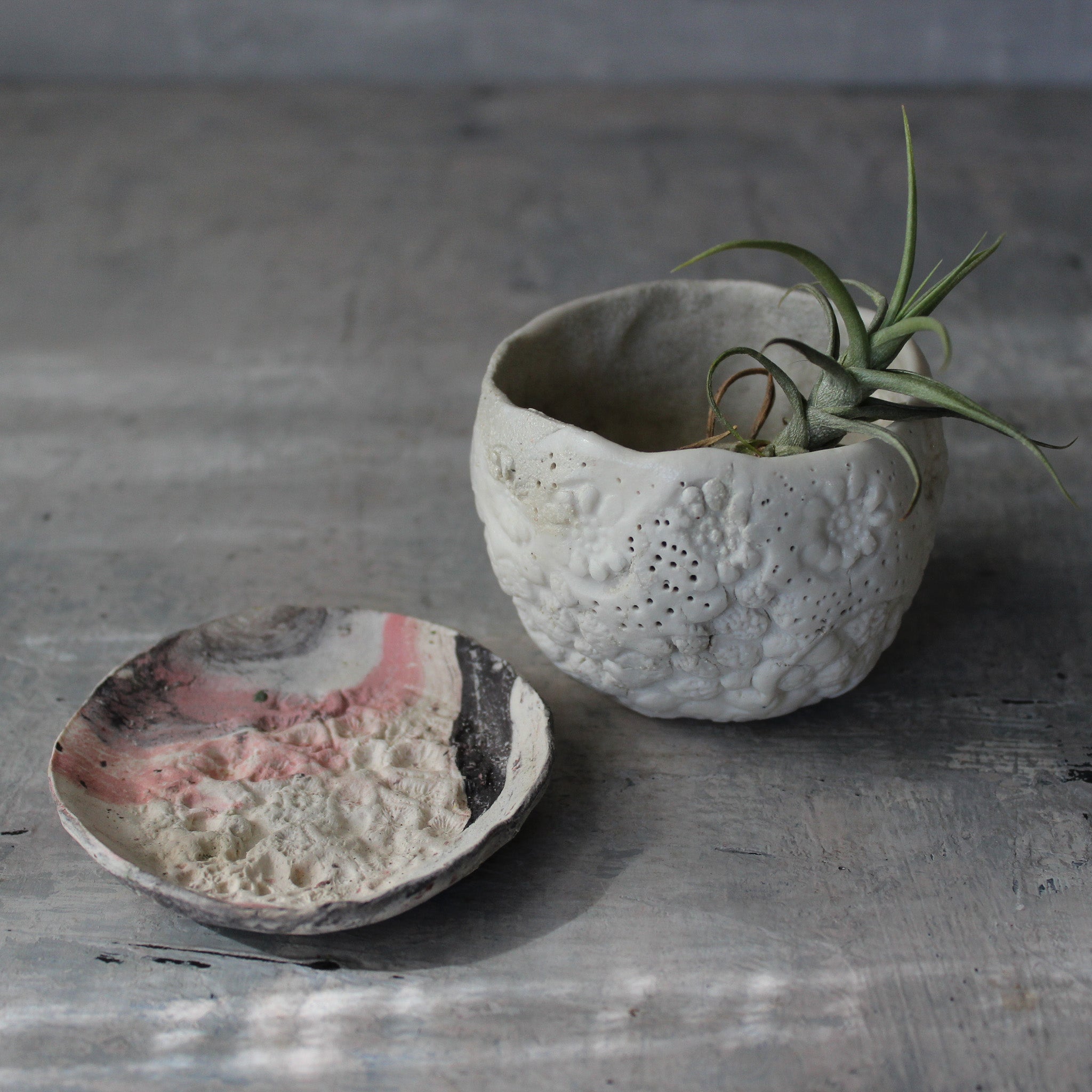 Ceramic Planter & Saucer Sets - Tribe Castlemaine