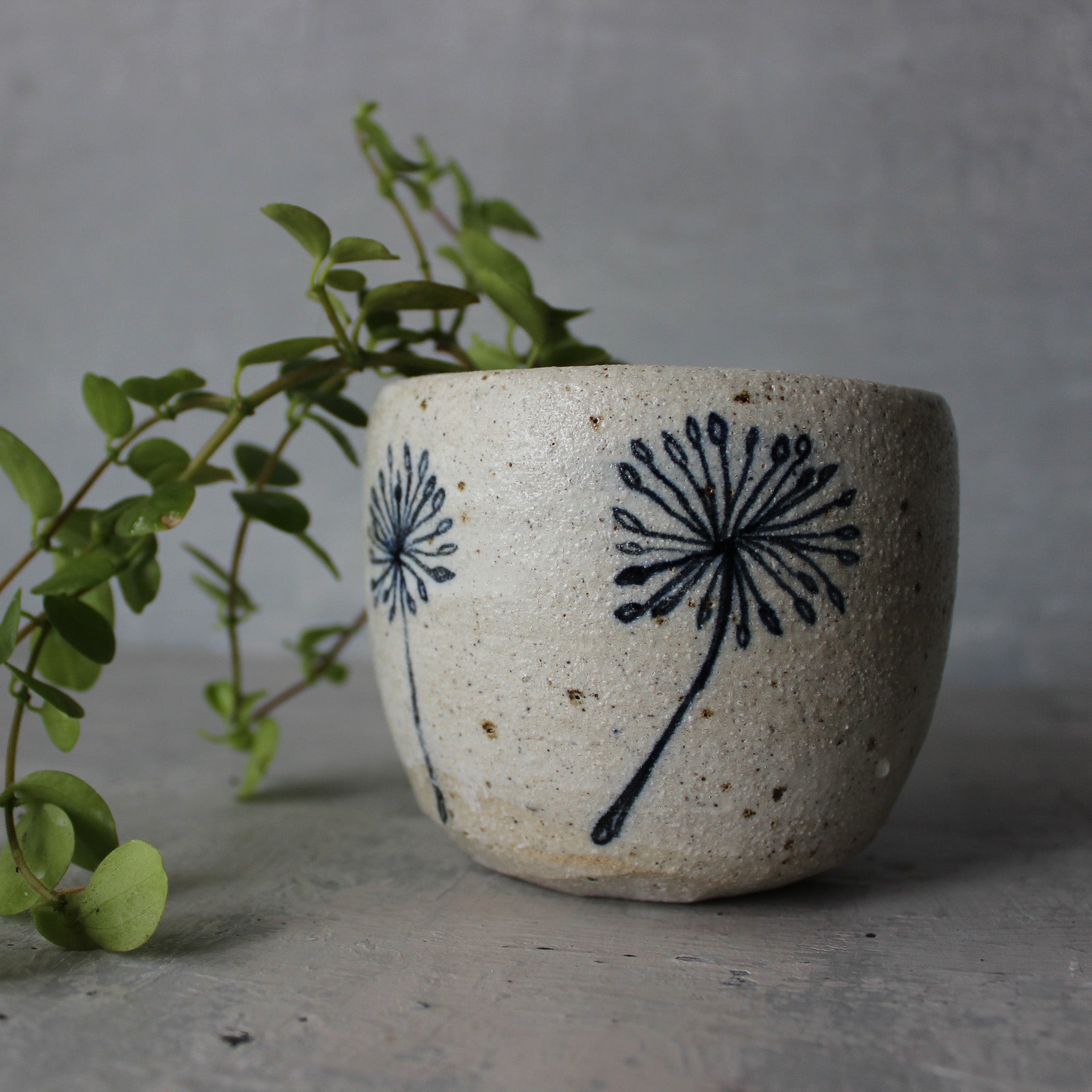 Ceramic Planters Dandelion - Tribe Castlemaine