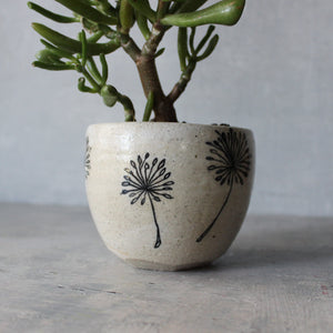 Ceramic Planters Dandelion - Tribe Castlemaine