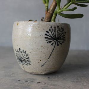 Ceramic Planters Dandelion - Tribe Castlemaine