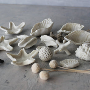 Ceramic Rockpool Treasures - Tribe Castlemaine