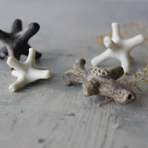 Ceramic Rockpool Treasures - Tribe Castlemaine