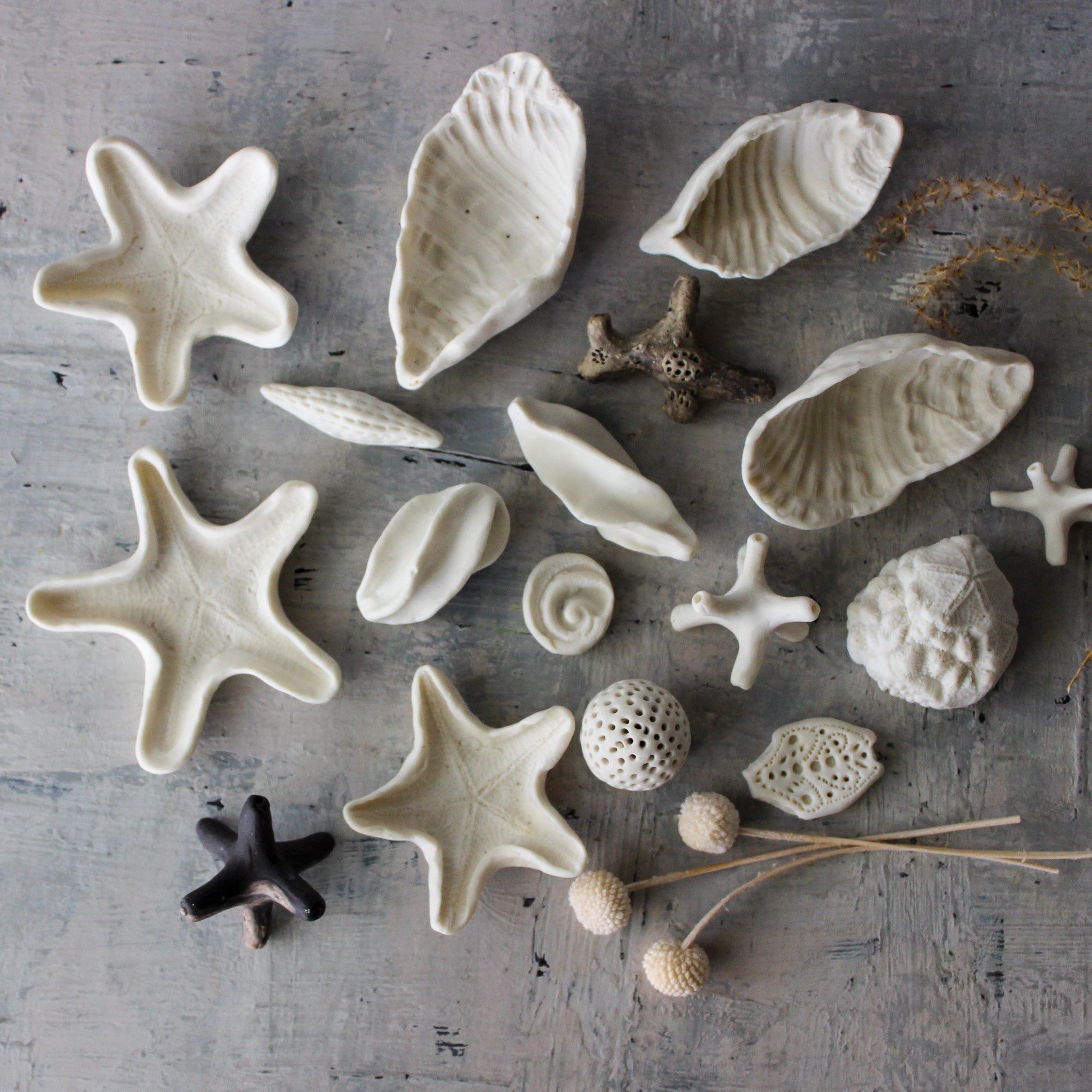 Ceramic Rockpool Treasures - Tribe Castlemaine