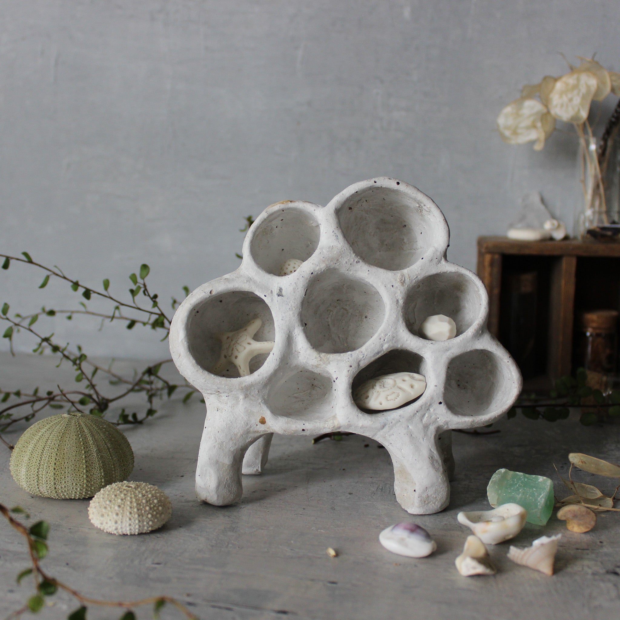 Ceramic Treasure Display Shelf #1 - Tribe Castlemaine