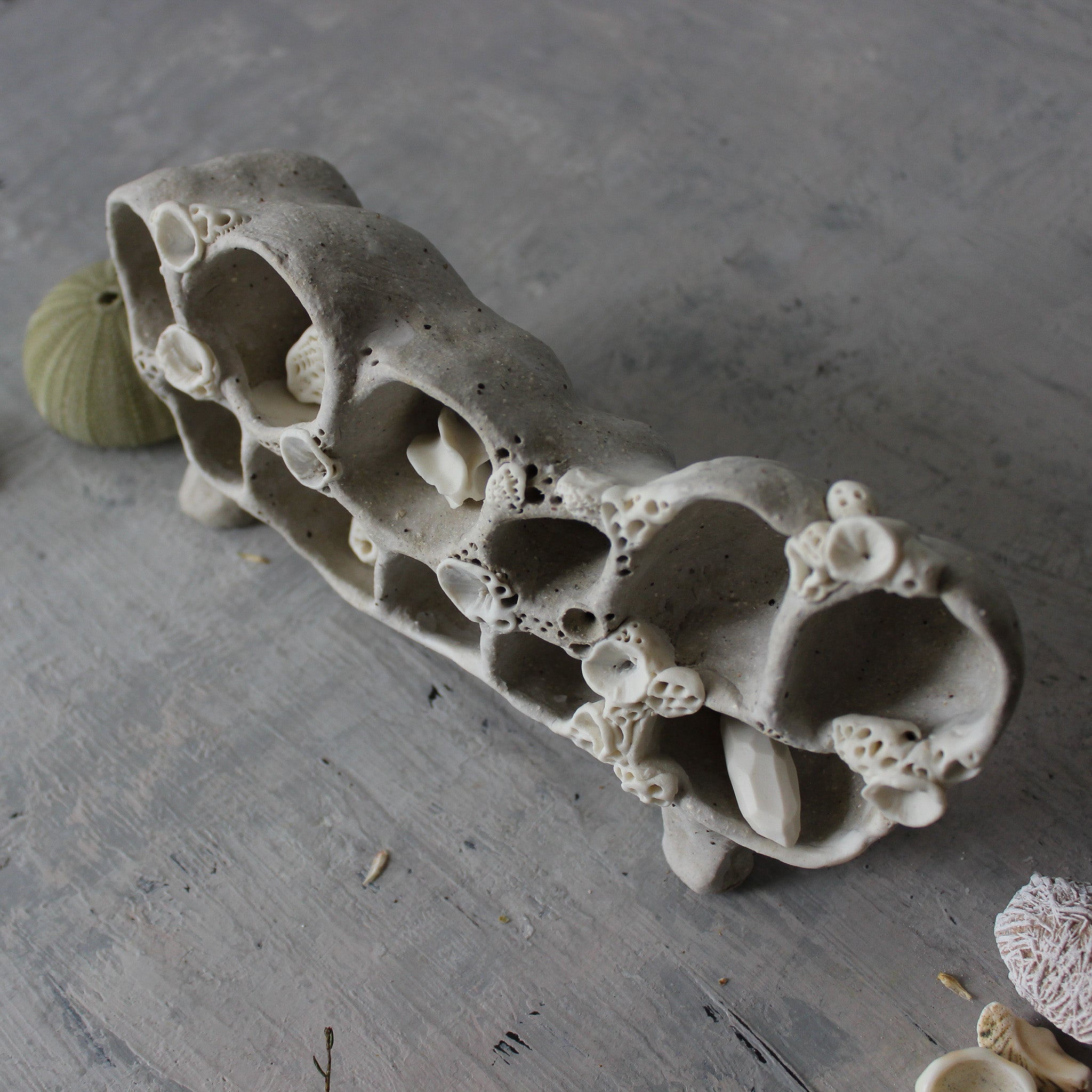 Ceramic Treasure Display Shelf #2 - Tribe Castlemaine