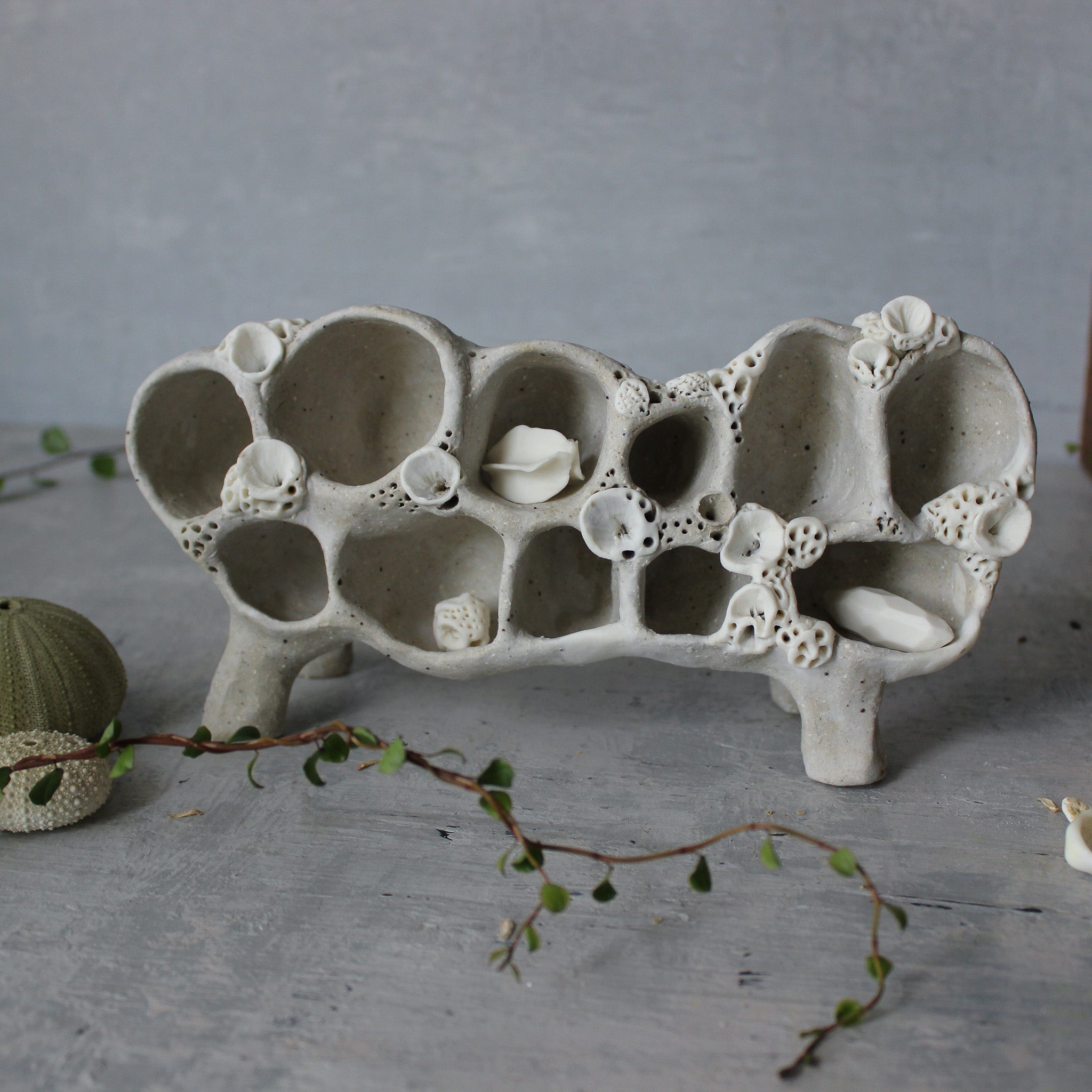 Ceramic Treasure Display Shelf #2 - Tribe Castlemaine