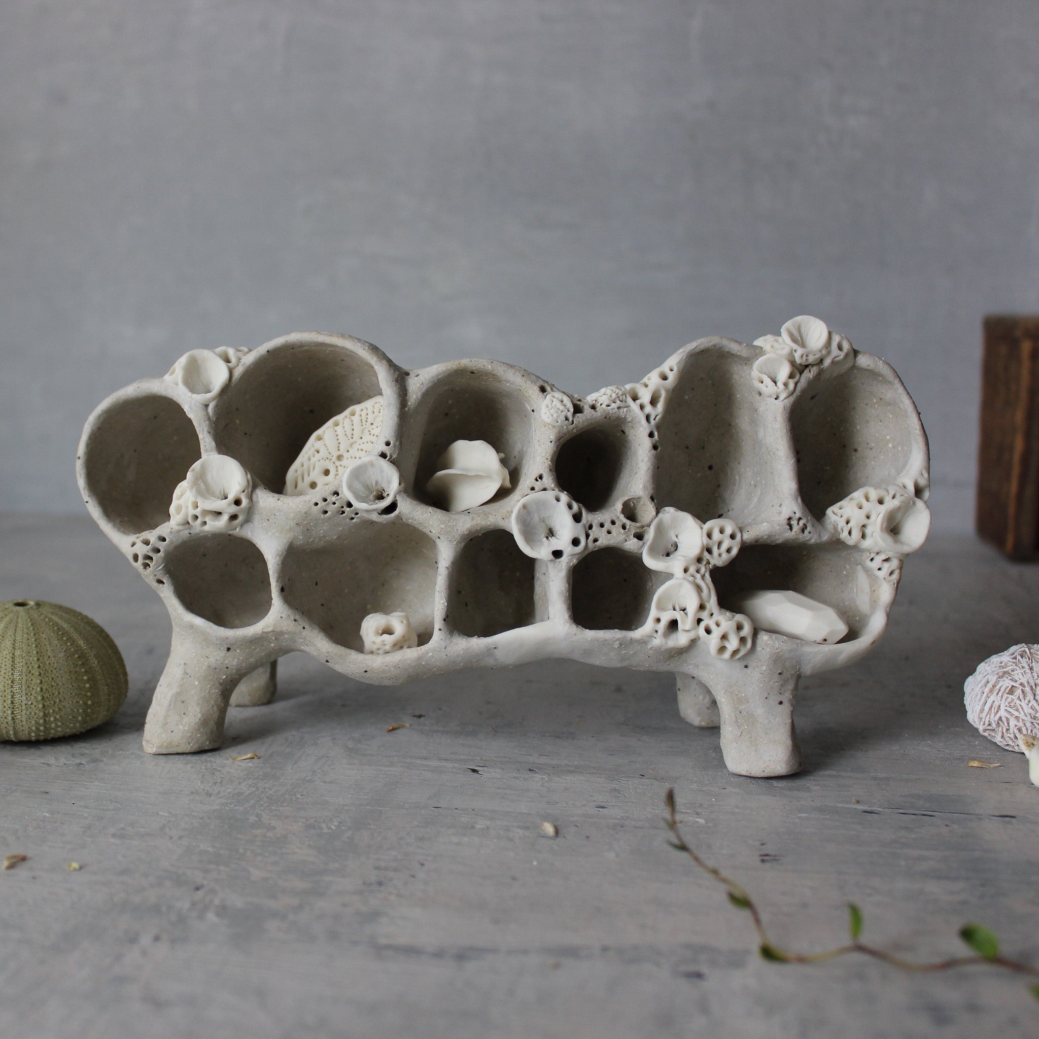 Ceramic Treasure Display Shelf #2 - Tribe Castlemaine