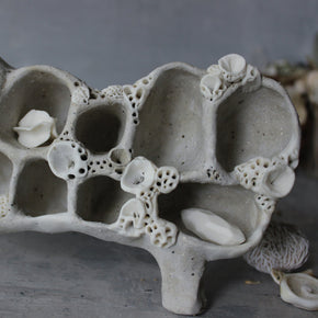 Ceramic Treasure Display Shelf #2 - Tribe Castlemaine