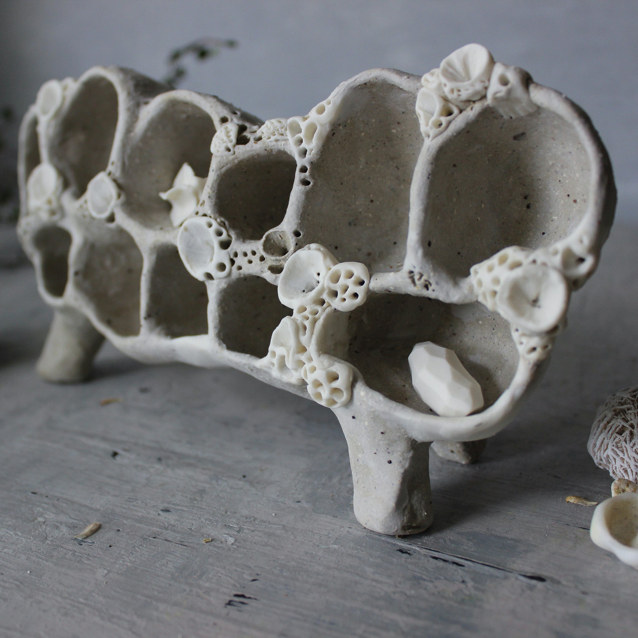 Ceramic Treasure Display Shelf #2 - Tribe Castlemaine