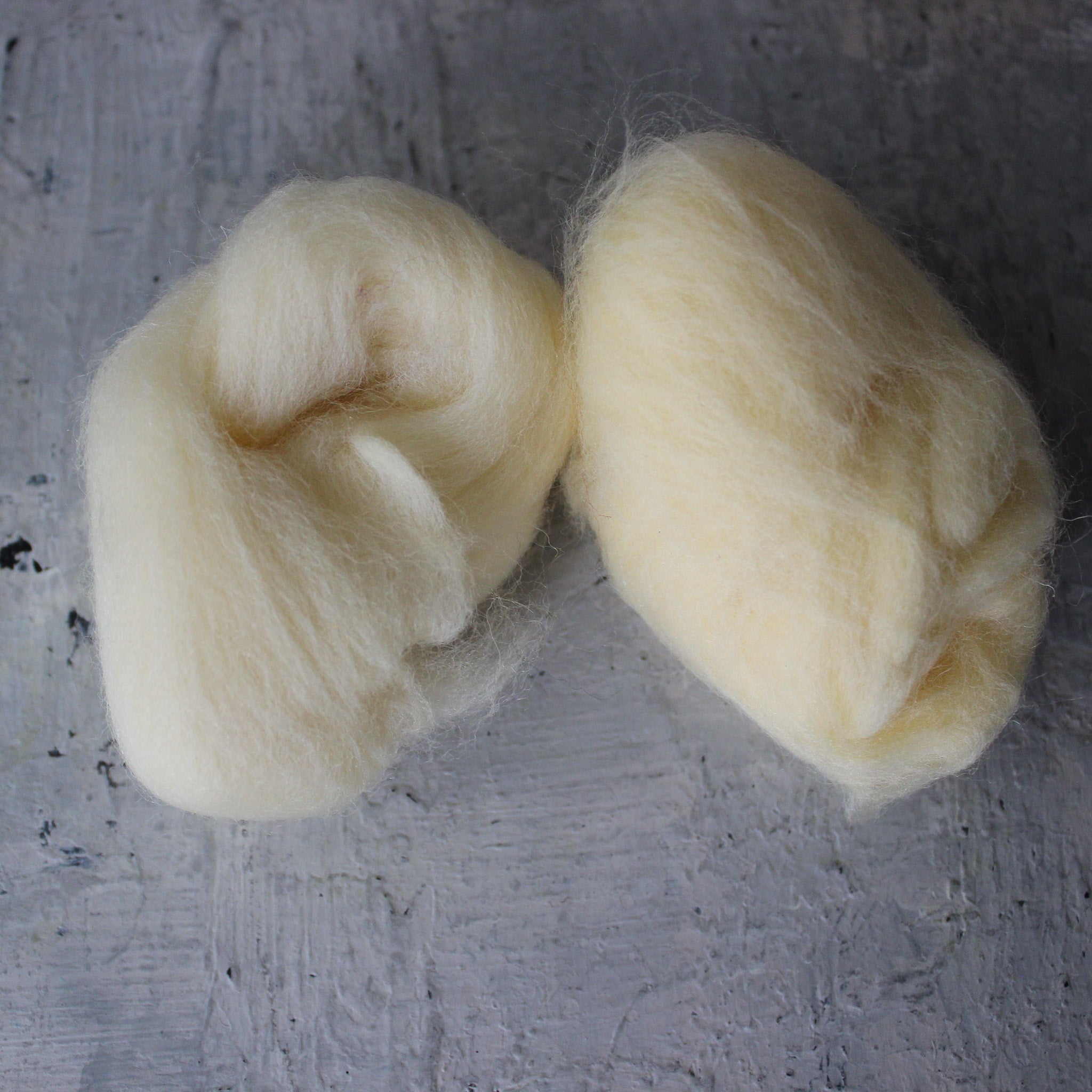 Coloured Wool Fleece Roving - Tribe Castlemaine