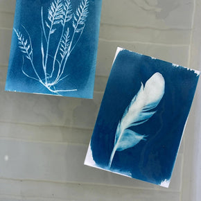 Cyanotype Sun Printing Paper - Tribe Castlemaine