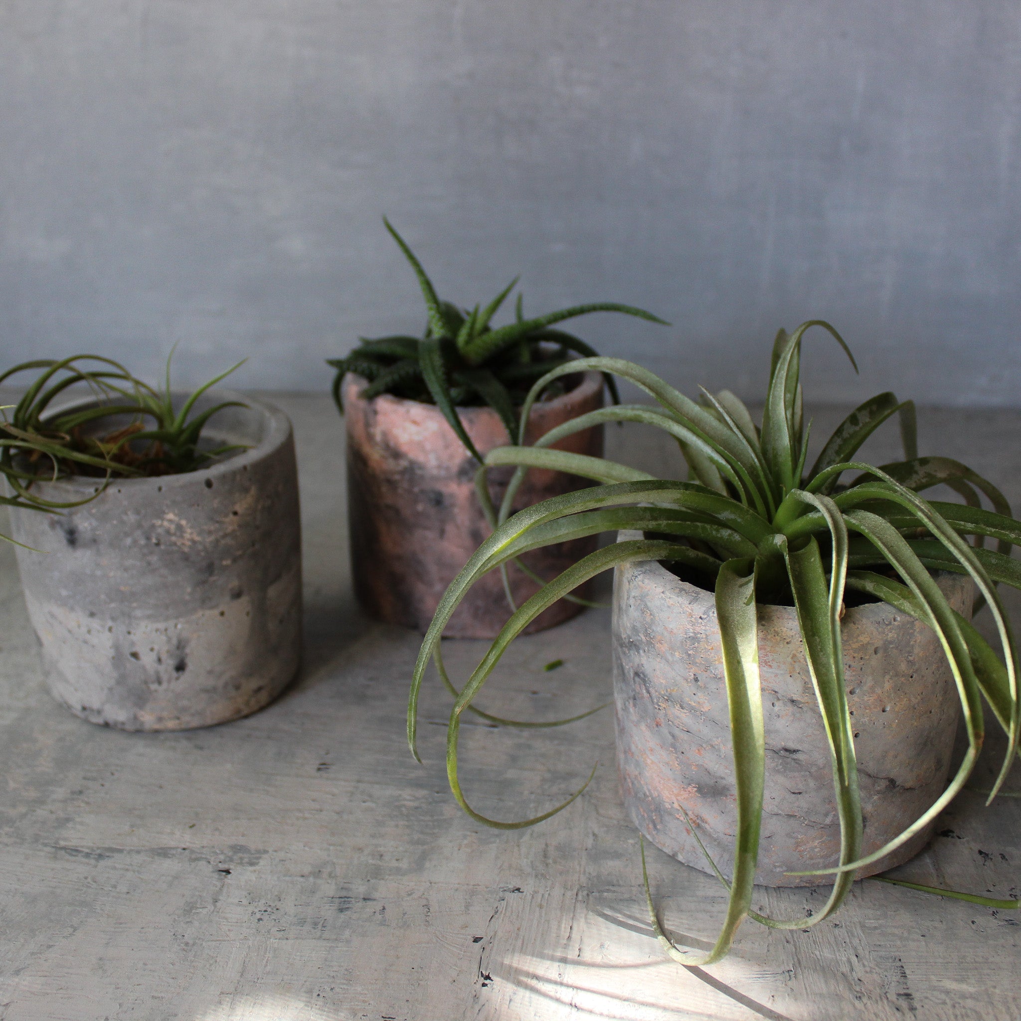 Eché Handmade Hemp Pots - Tribe Castlemaine