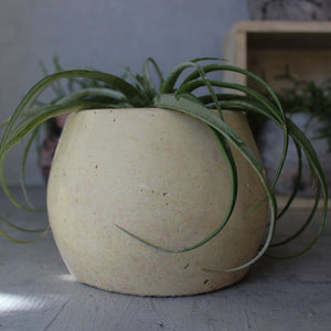 Eché Handmade Hemp Pots - Tribe Castlemaine