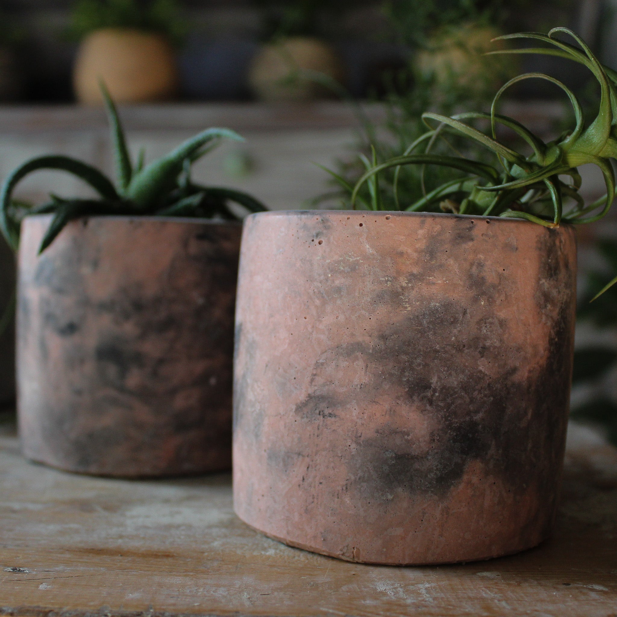 Eché Handmade Hemp Pots - Tribe Castlemaine