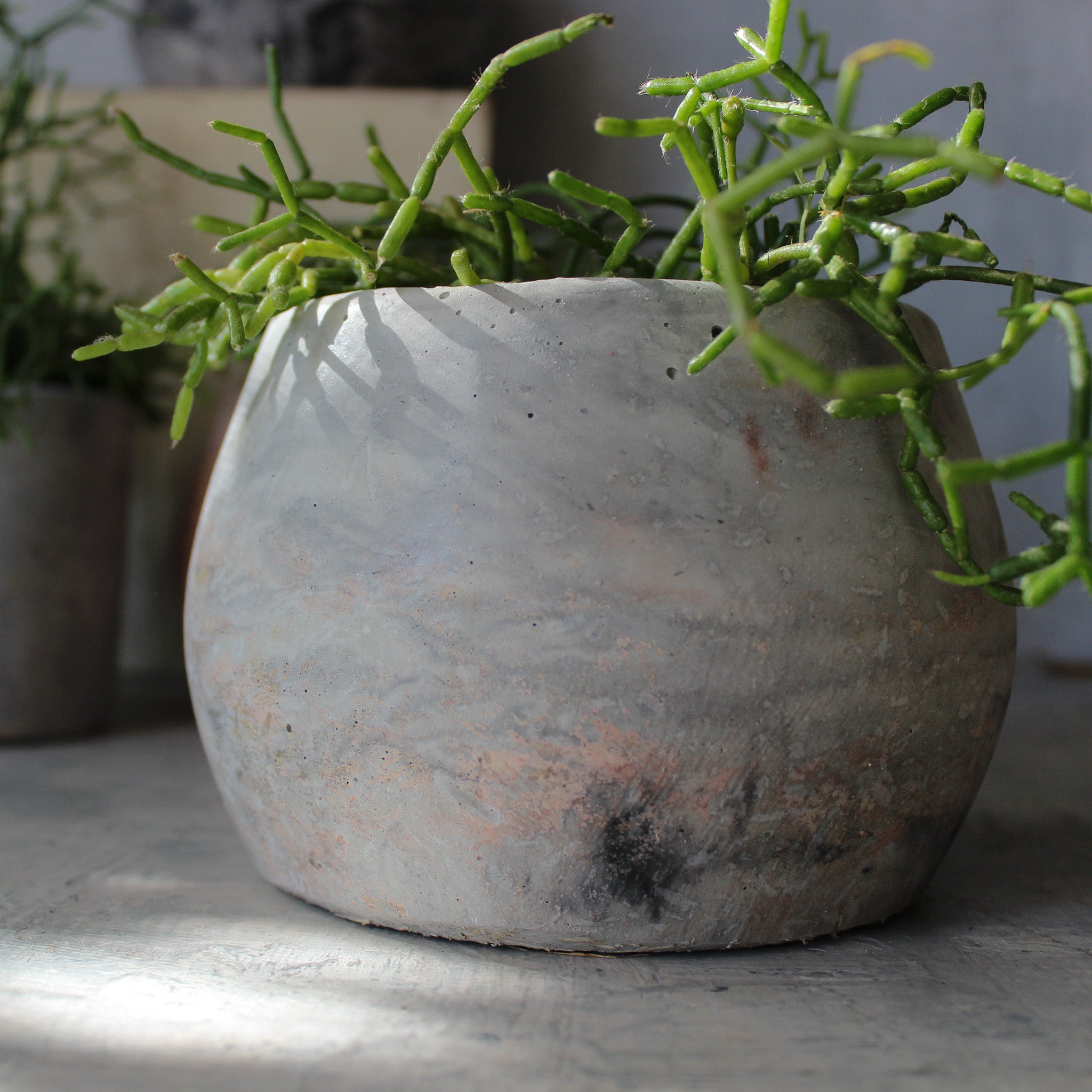 Eché Handmade Hemp Pots - Tribe Castlemaine