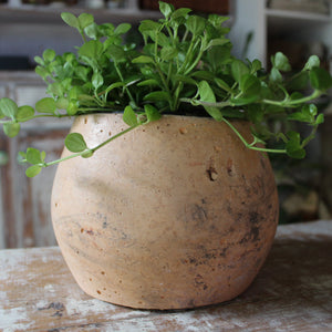 Eché Handmade Hemp Pots - Tribe Castlemaine