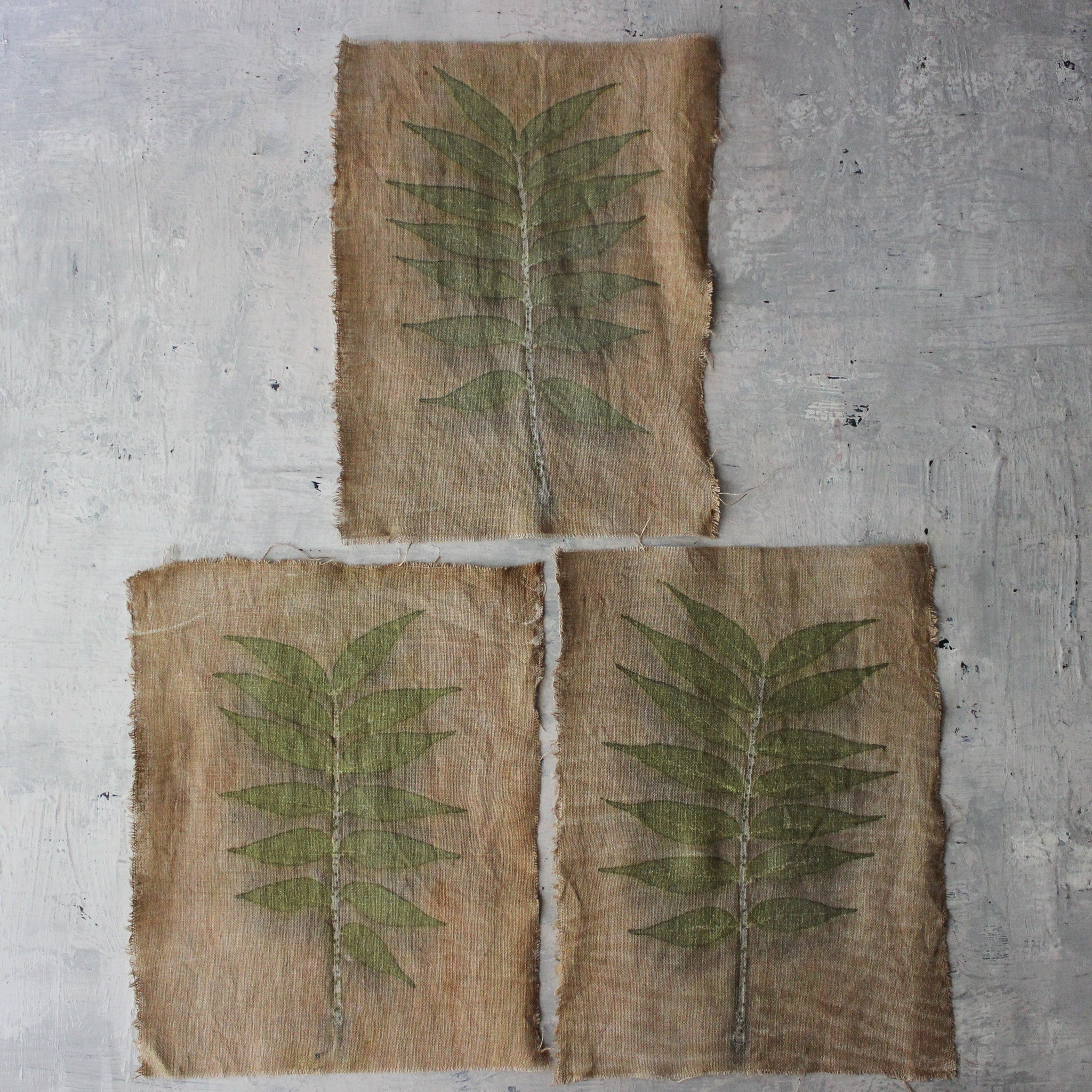 Eco Print Specimen Panels : Chinese Pistachio - Tribe Castlemaine