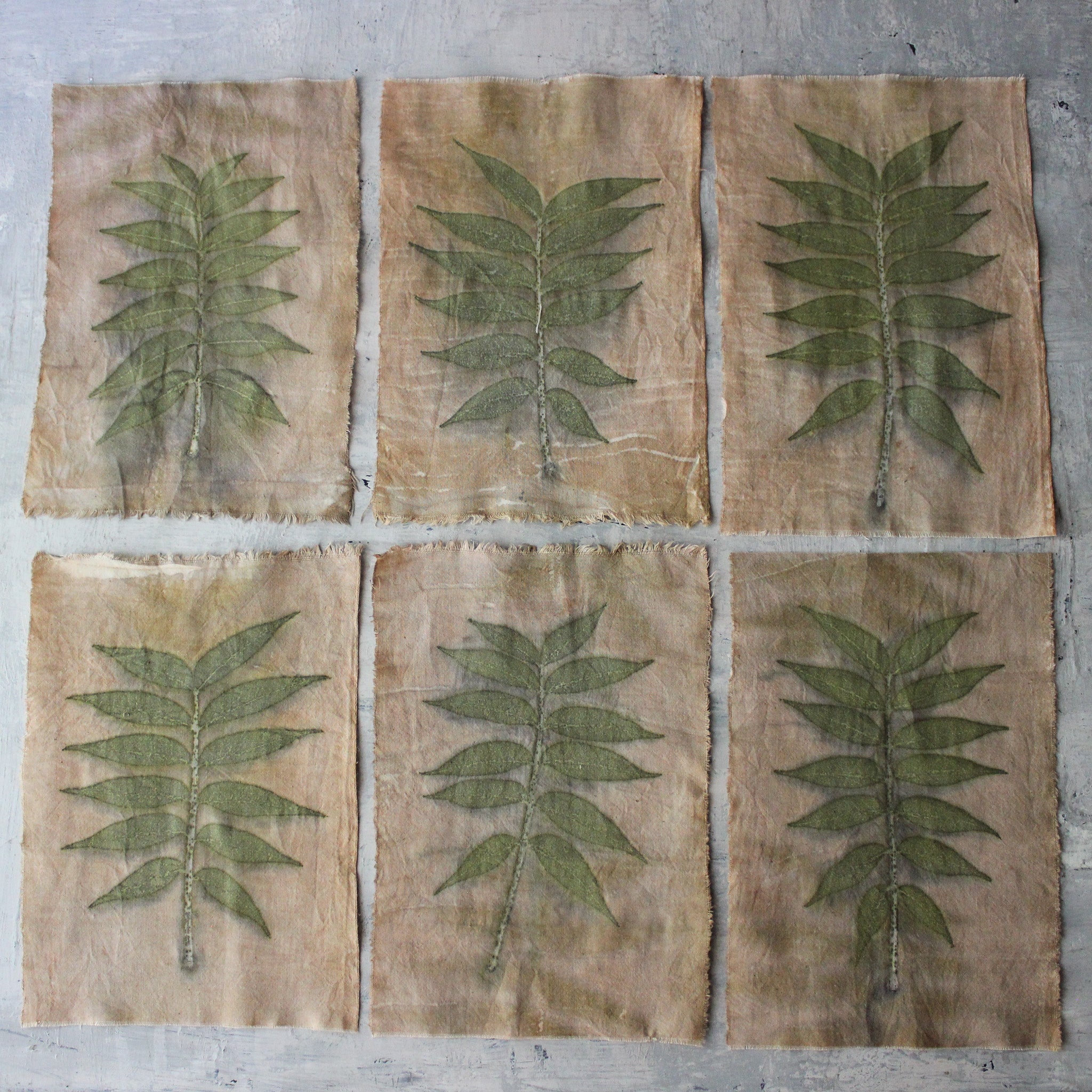 Eco Print Specimen Panels : Chinese Pistachio - Tribe Castlemaine