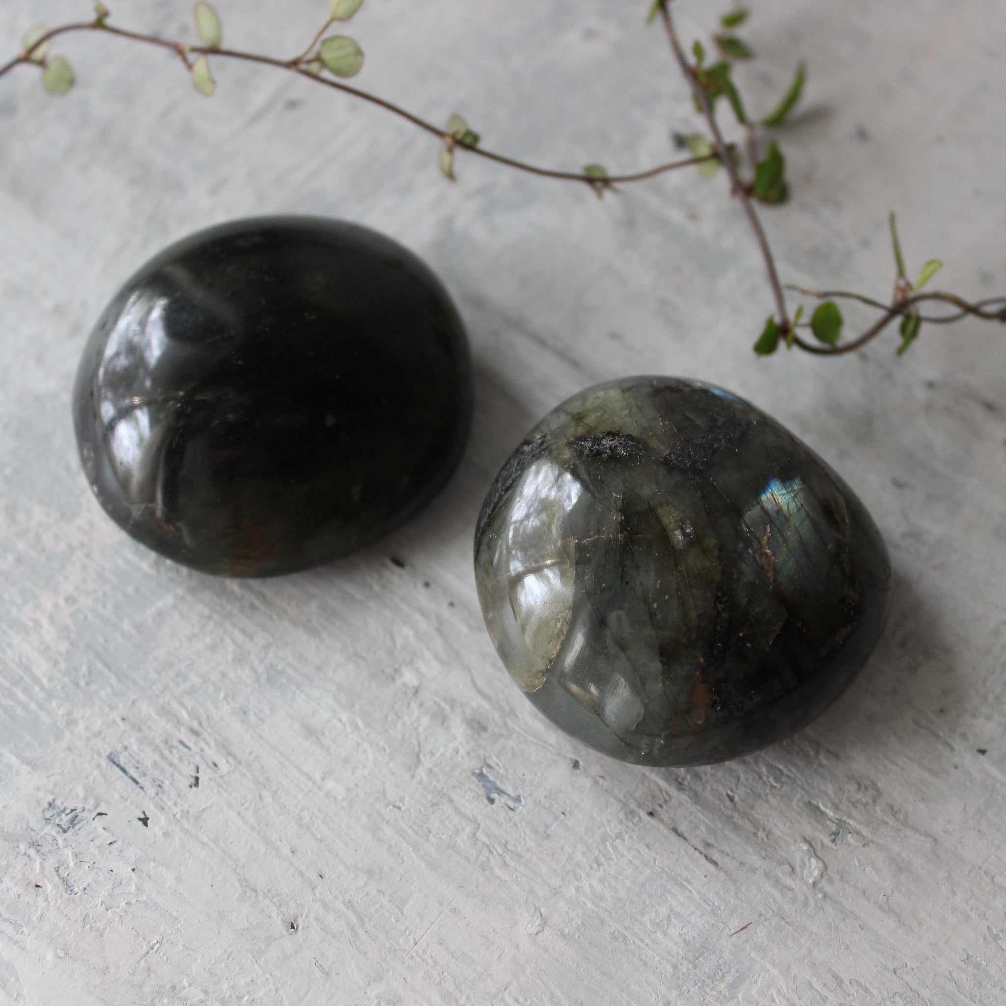 Labradorite Palm Stone - Tribe Castlemaine