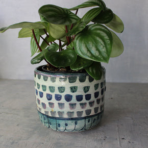 Large Ceramic Planters Dots - Tribe Castlemaine