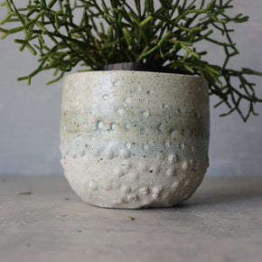 Large Ceramic Planters Textured Green - Tribe Castlemaine