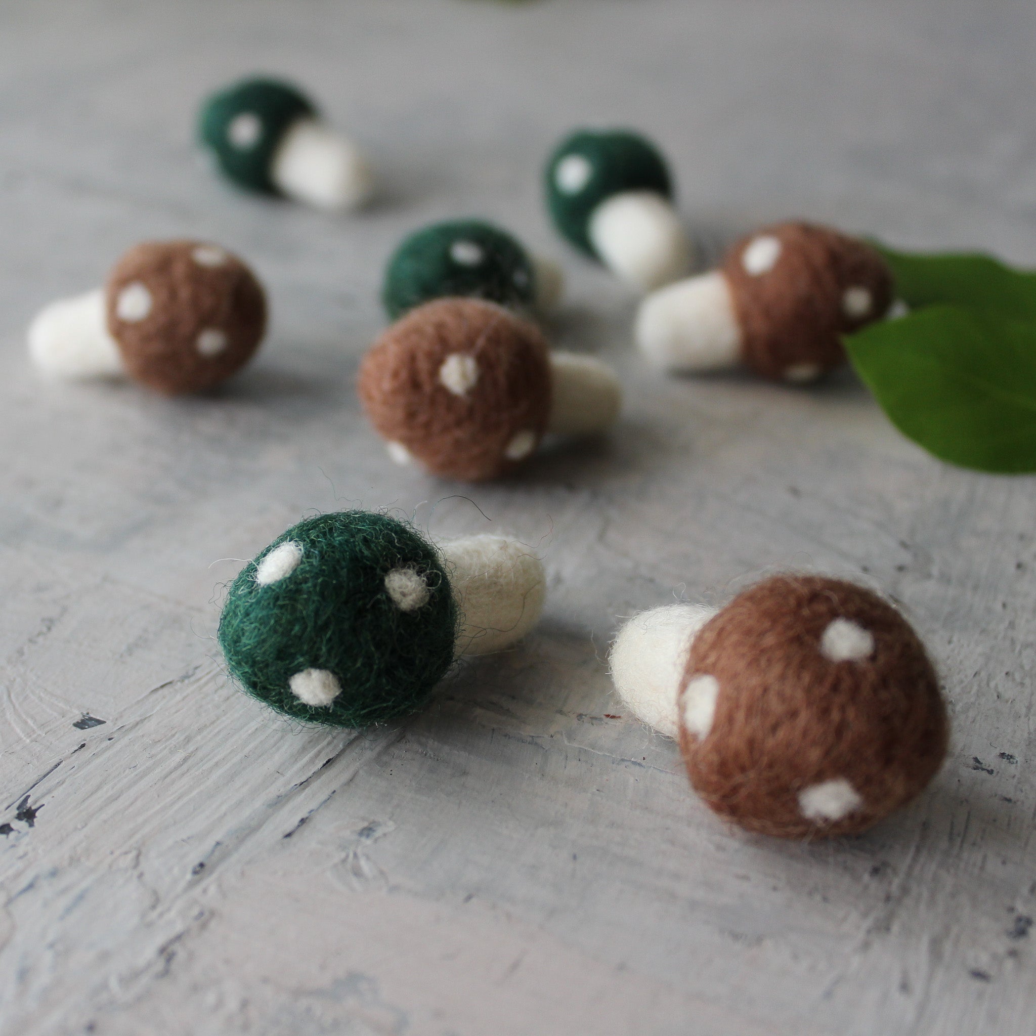 Little Felt Mushrooms - Tribe Castlemaine