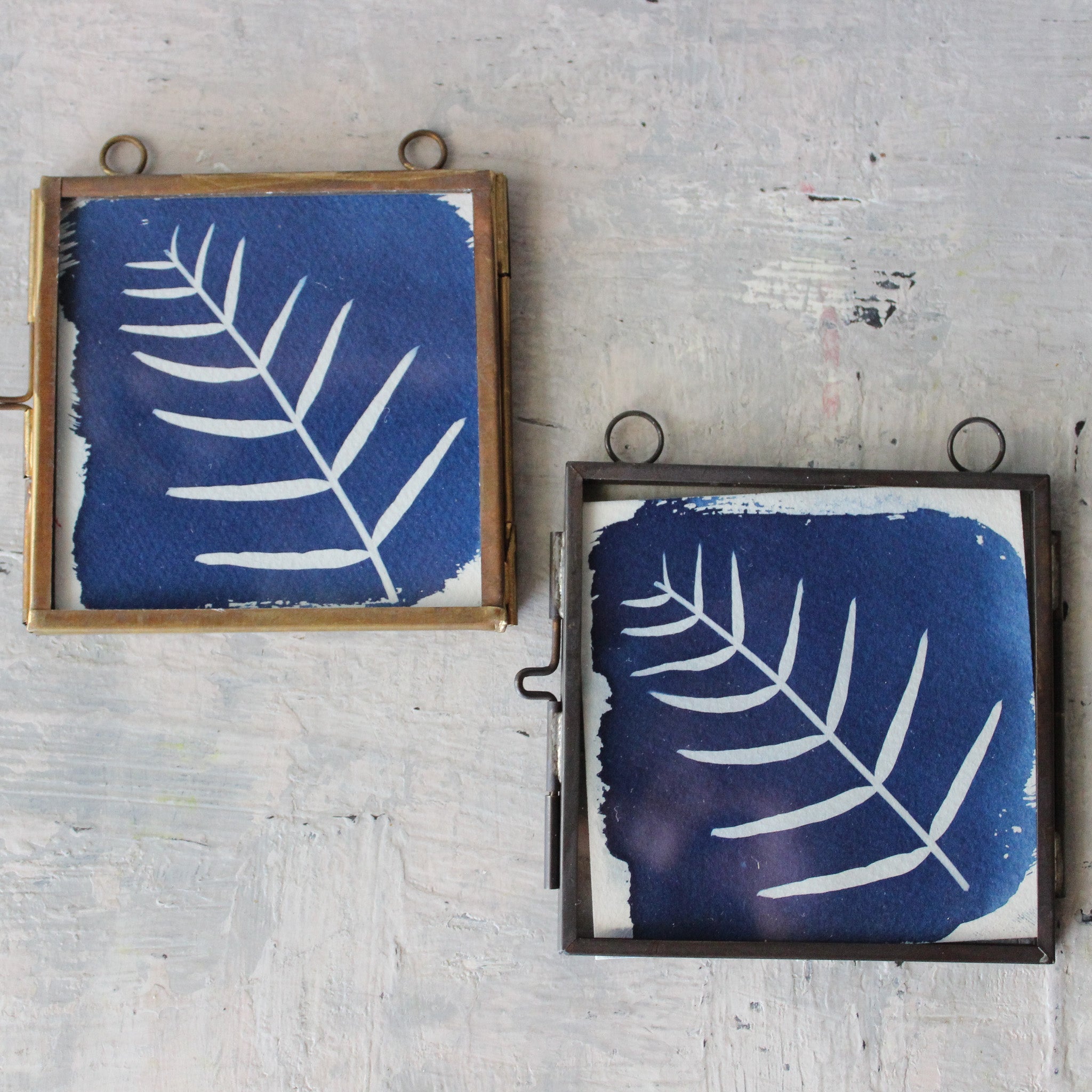 Little Framed Cyanotype Prints - Tribe Castlemaine