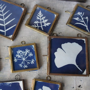 Little Framed Cyanotype Prints - Tribe Castlemaine